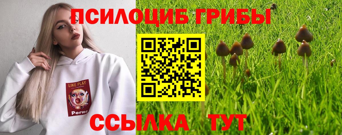 Галлюциногенные грибы мицелий Тара